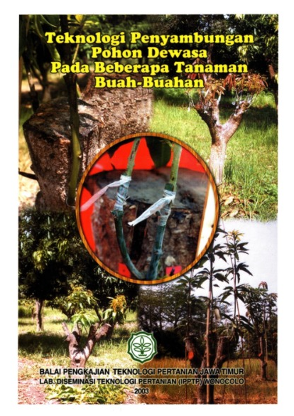 tutor image 1